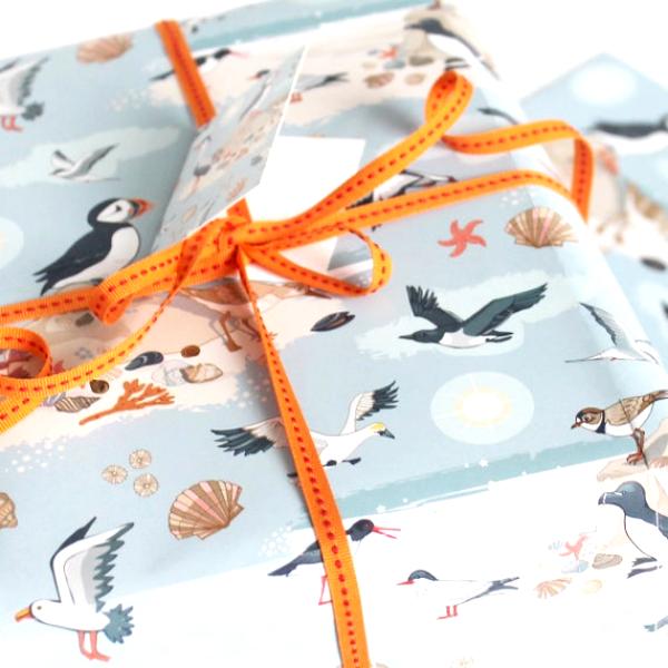 EMBALLAGE CADEAU OISEAUX